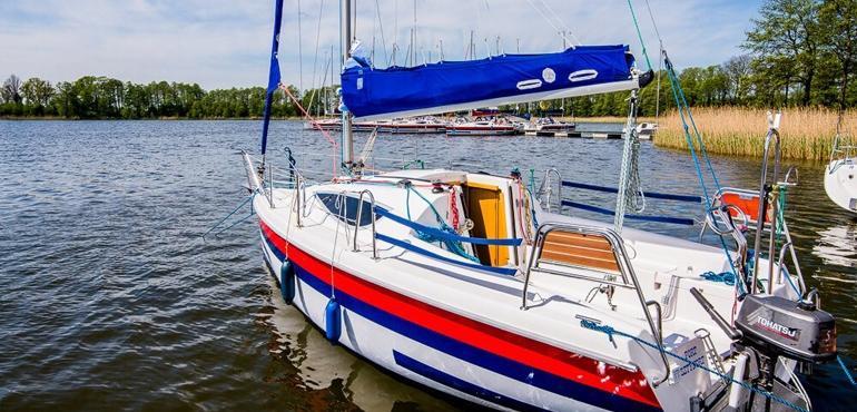 Maxus 24