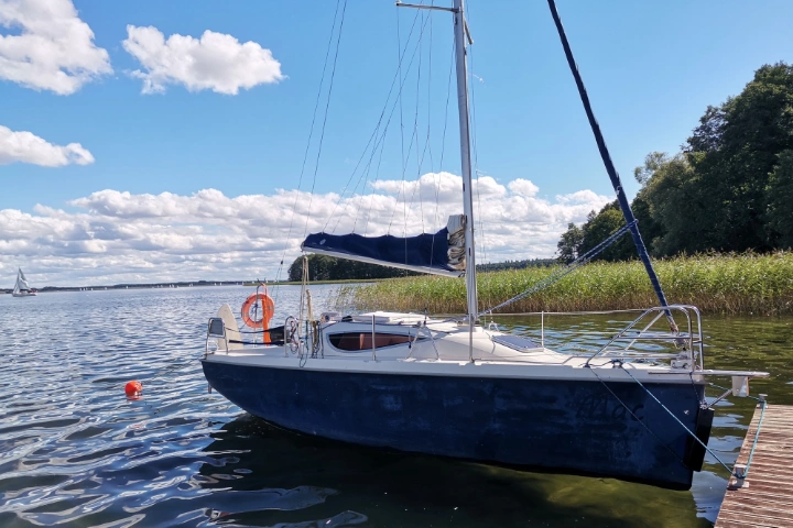 Maxus 24